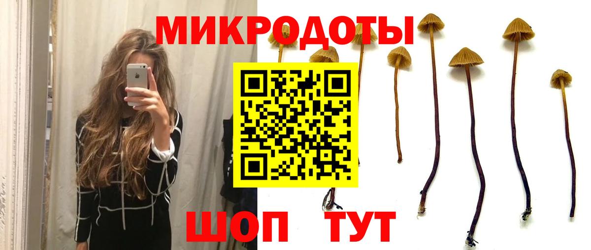 Белая Калитва  Псилоцибиновые грибы Cubensis  Вход с VPN 